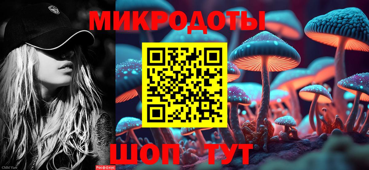 Минусинск  Псилоцибиновые грибы прущие грибы  Вход с VPN 